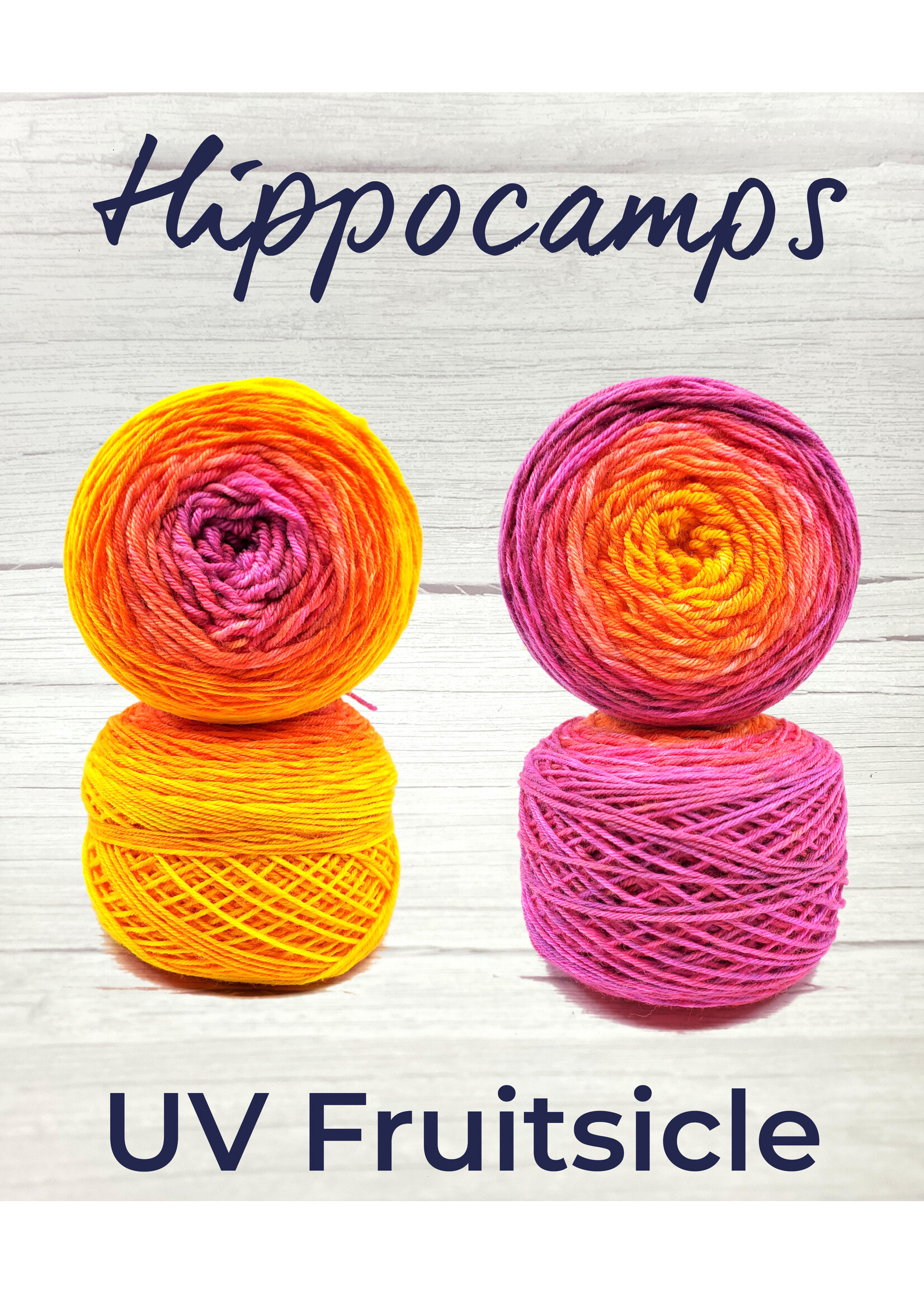 Stranded Studio Hippocamps