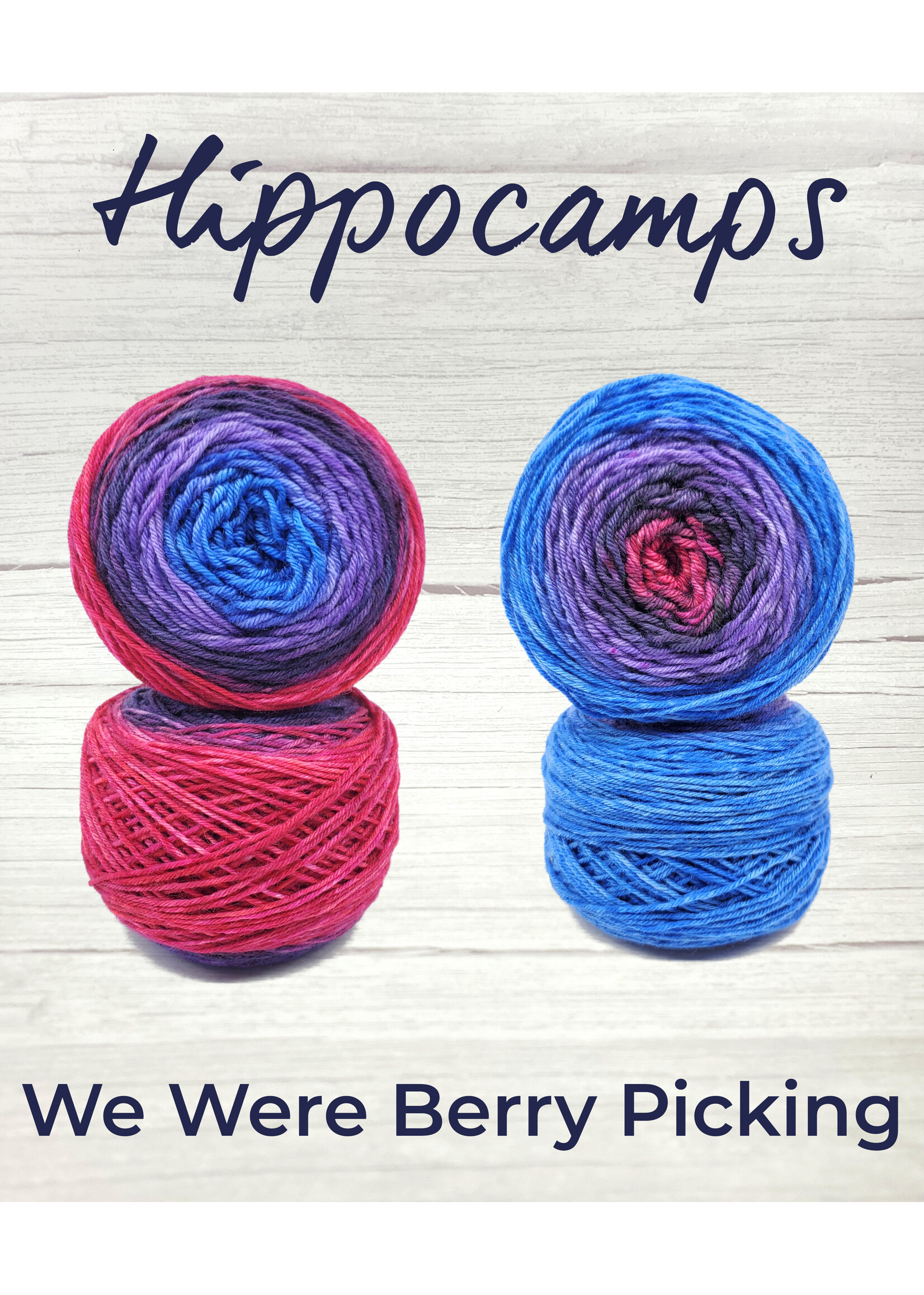 Stranded Studio Hippocamps