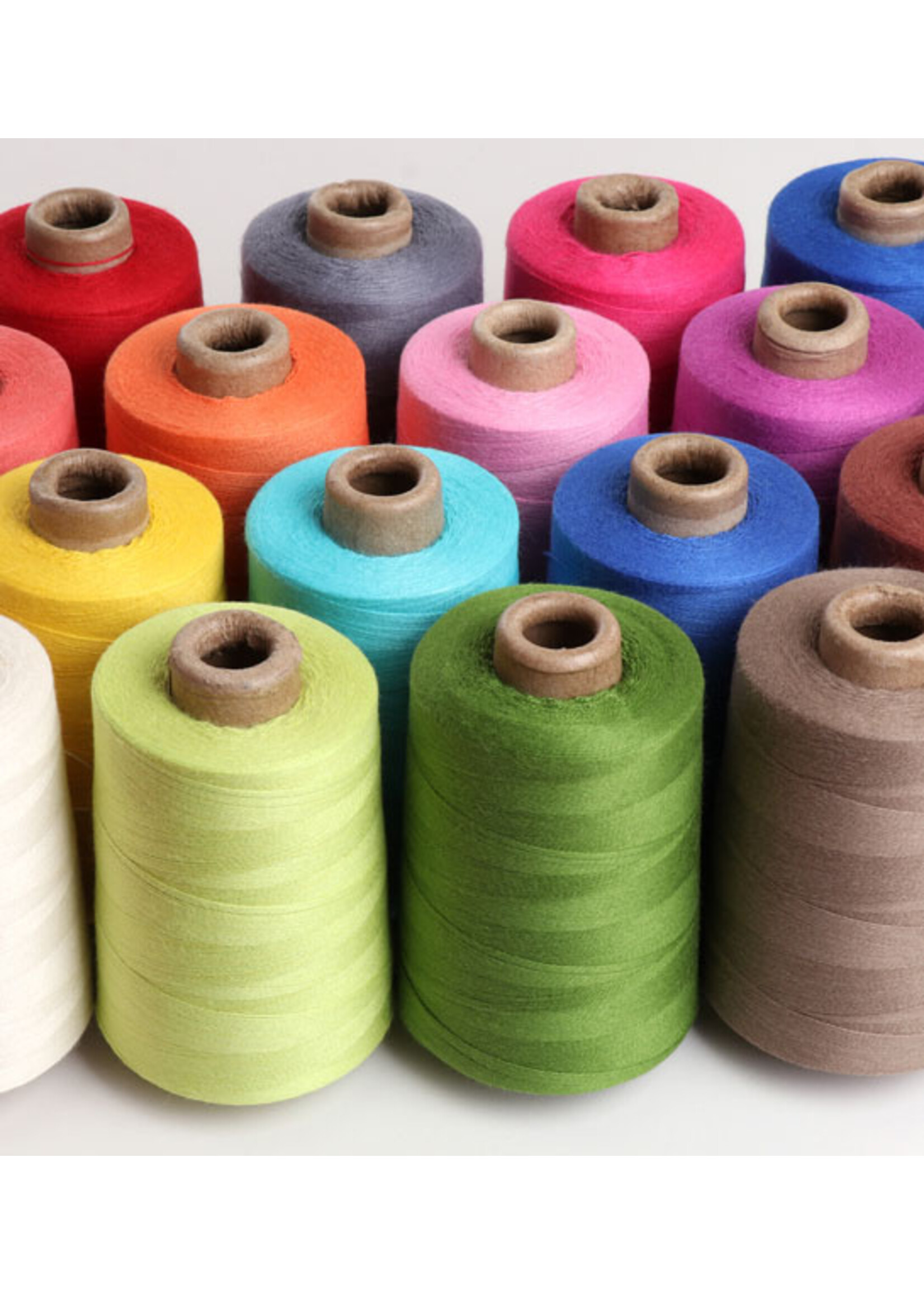 Ashford Ashford Unmercerzized Cotton 5/2 (200g)