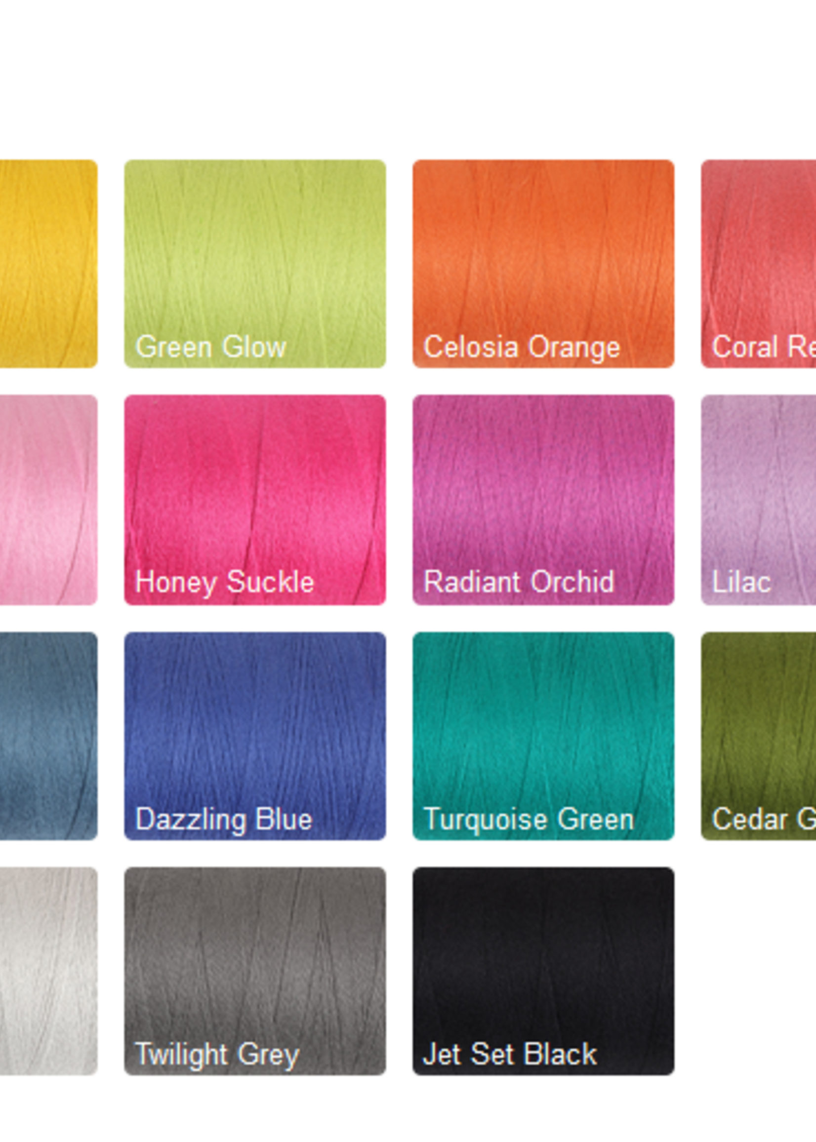 Ashford Ashford Unmercerzized Cotton 5/2 (200g)