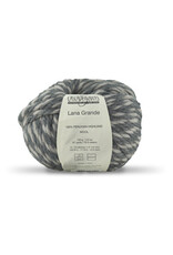 Cascade Yarns Cascade Lana Grande