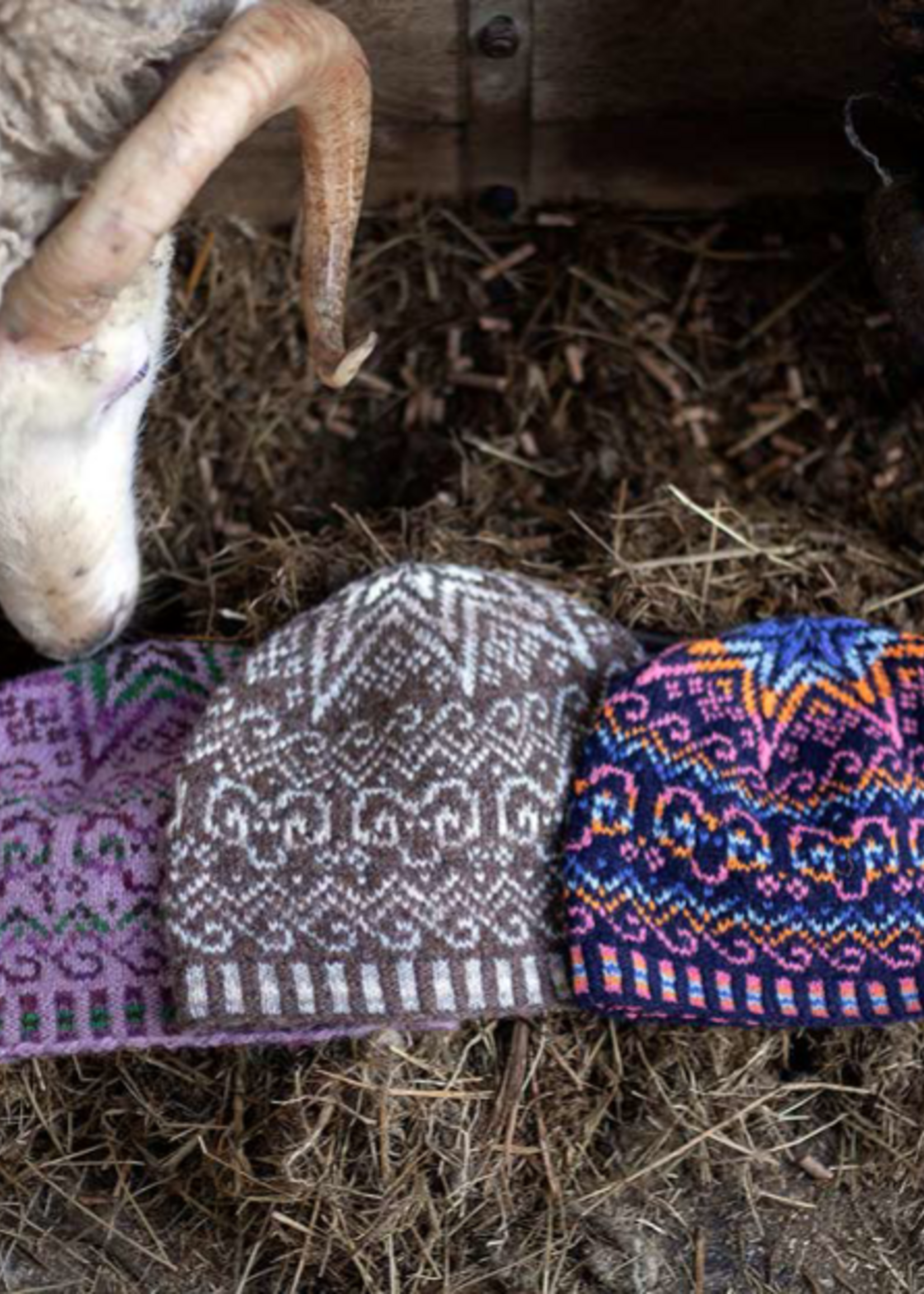 Jamieson's of Shetland Shetland Wool Week Kit 2024