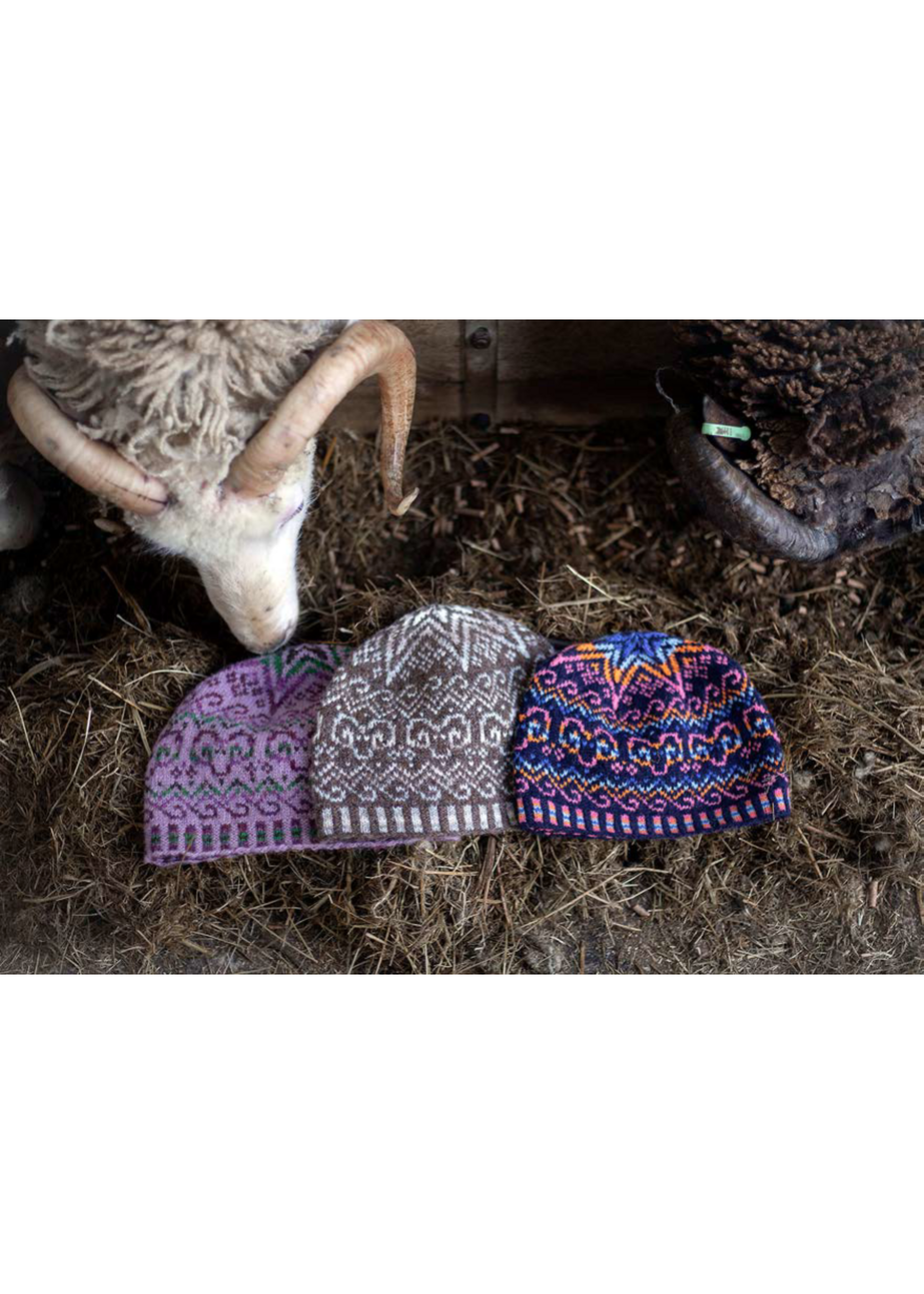 Jamieson's of Shetland Shetland Wool Week Kit 2024