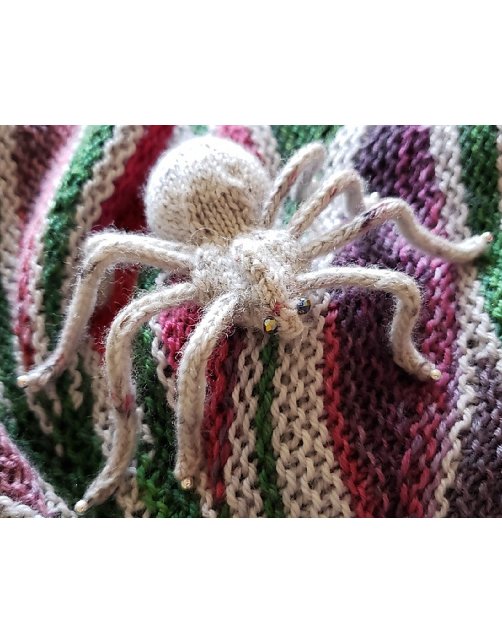 Leslie Hamacher Spider Clinic: Help with Archie & Tula