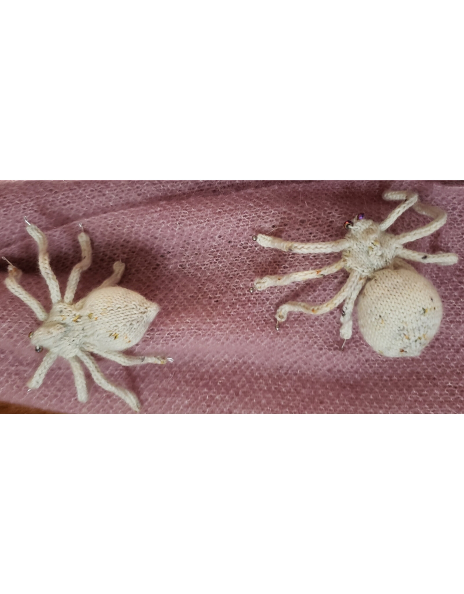 Leslie Hamacher Spider Clinic: Help with Archie & Tula