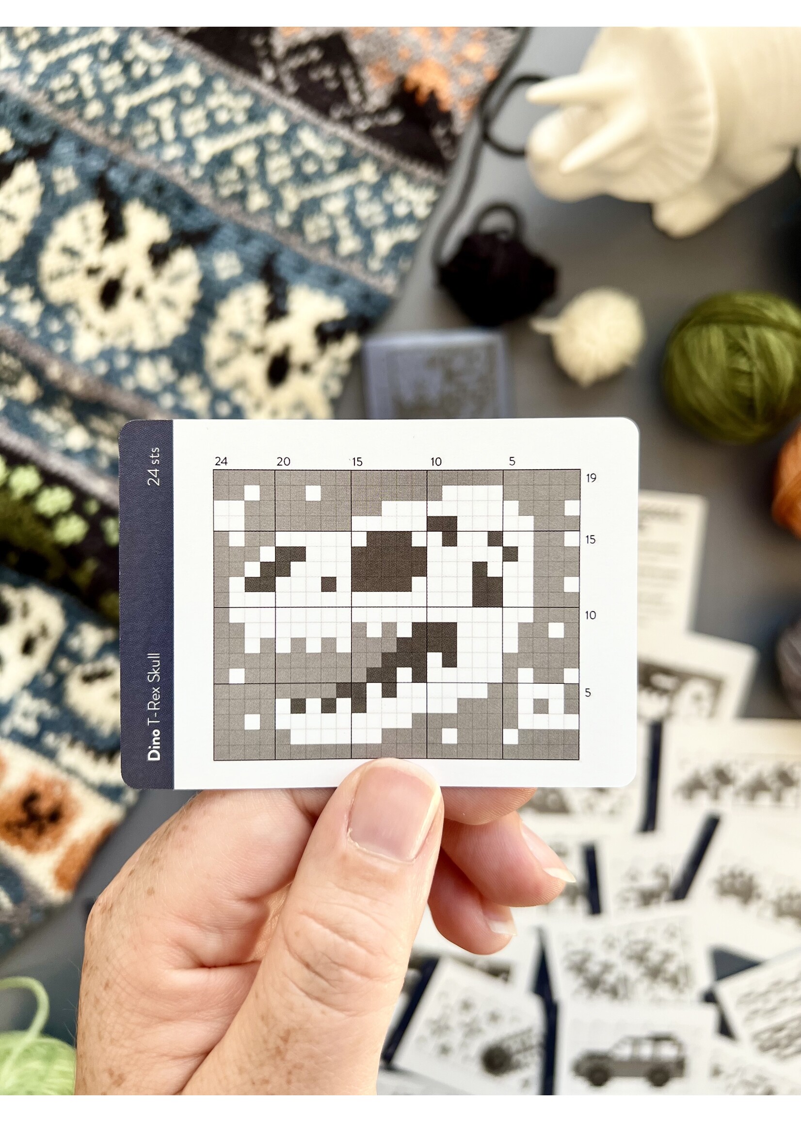 Pacific Knit Co Doodle Deck - Dino