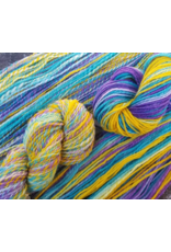 Char Gascho, Instructor Spinning Class: Plying on a Drop Spindle