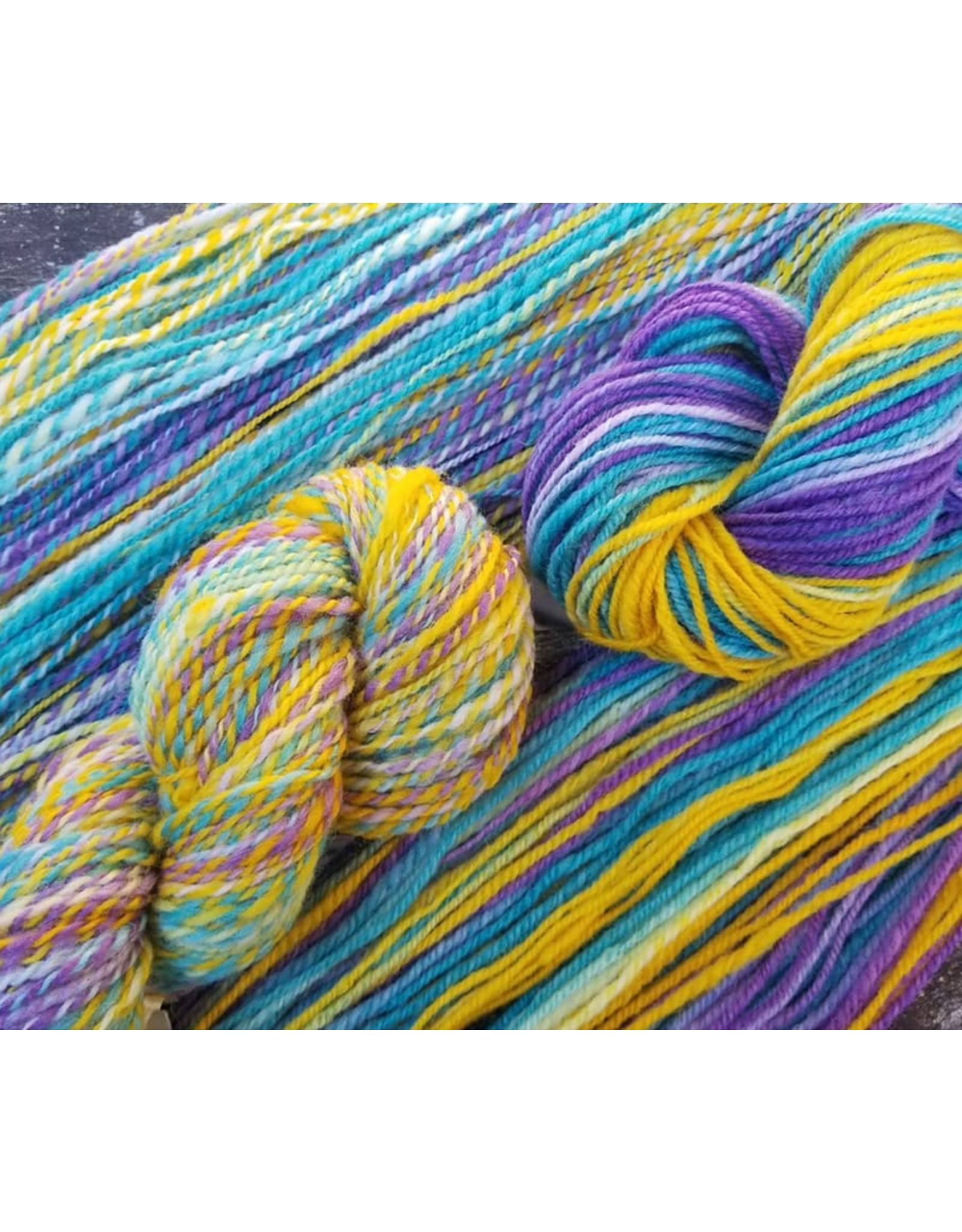Char Gascho, Instructor Spinning Class: Plying on a Drop Spindle