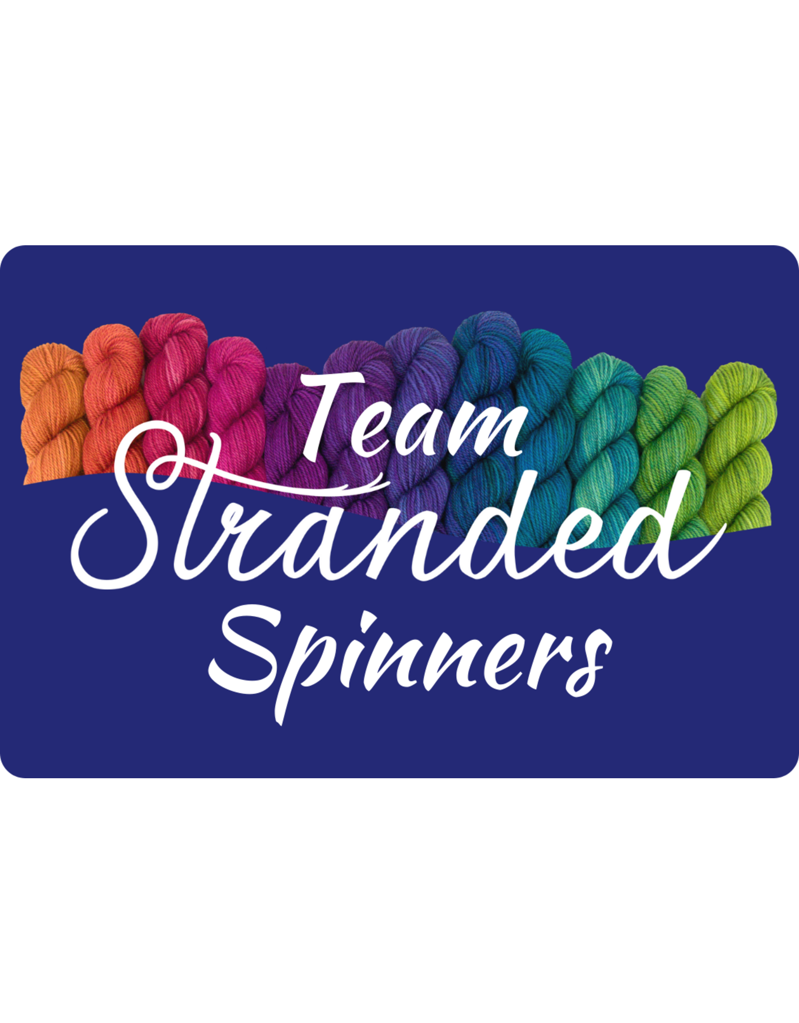 Stranded by the Sea Spin Together Team Stranded Spinners 2025