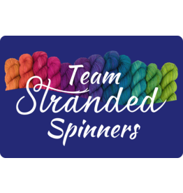 Stranded by the Sea Spin Together Team Stranded Spinners 2025