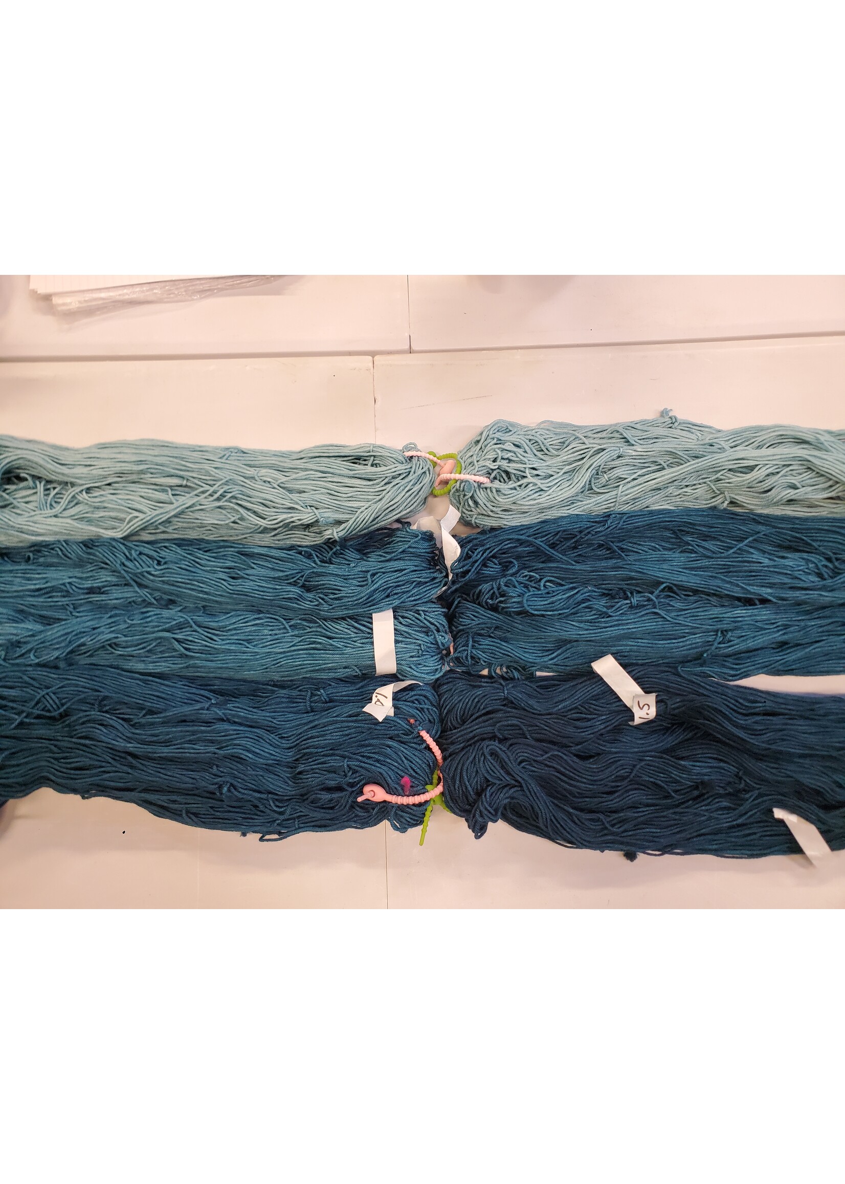 Stranded by the Sea Workshop: Dyeing Mini Gradient Set