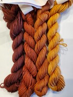Stranded by the Sea Workshop: Dyeing Mini Gradient Set