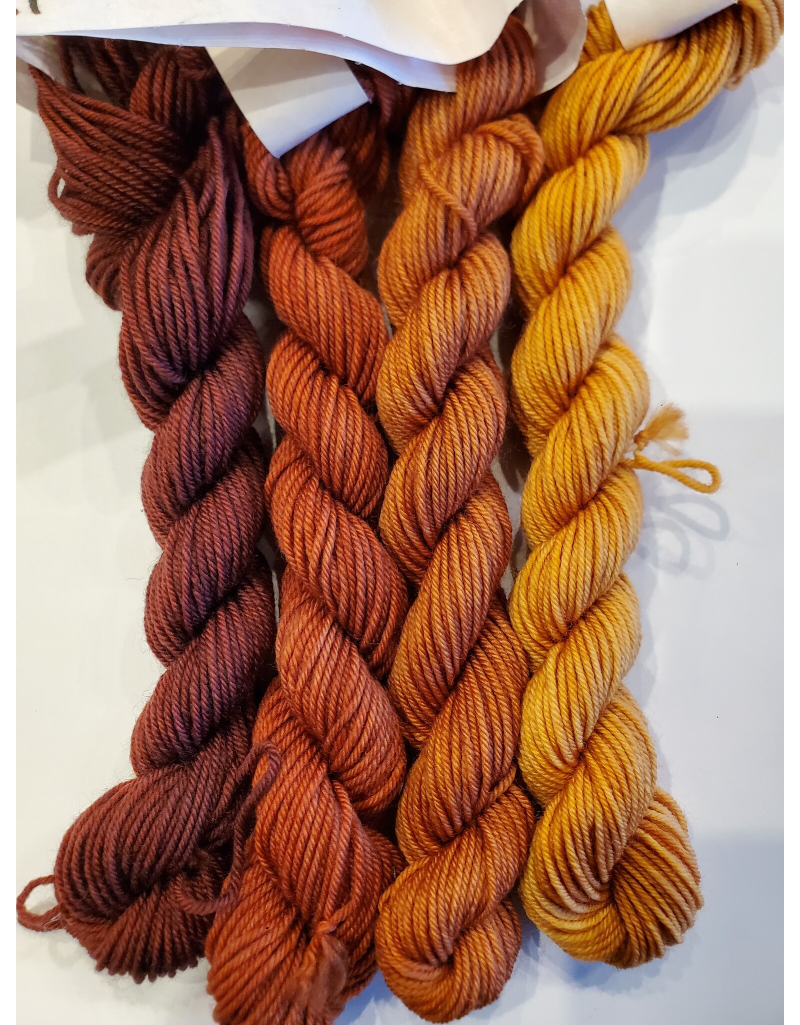 Stranded by the Sea Workshop: Dyeing Mini Gradient Set