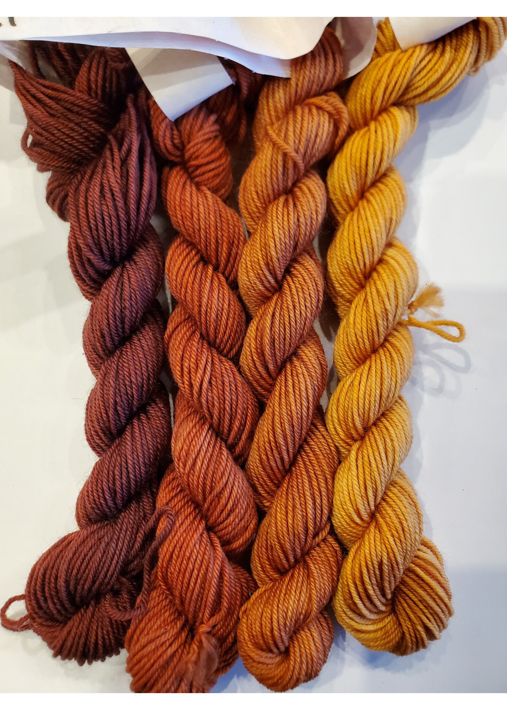 Stranded by the Sea Workshop: Dyeing Mini Gradient Set