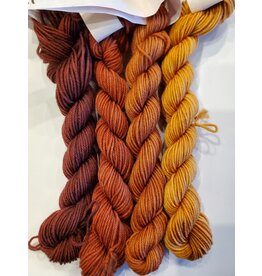Stranded by the Sea Workshop: Dyeing Mini Gradient Set