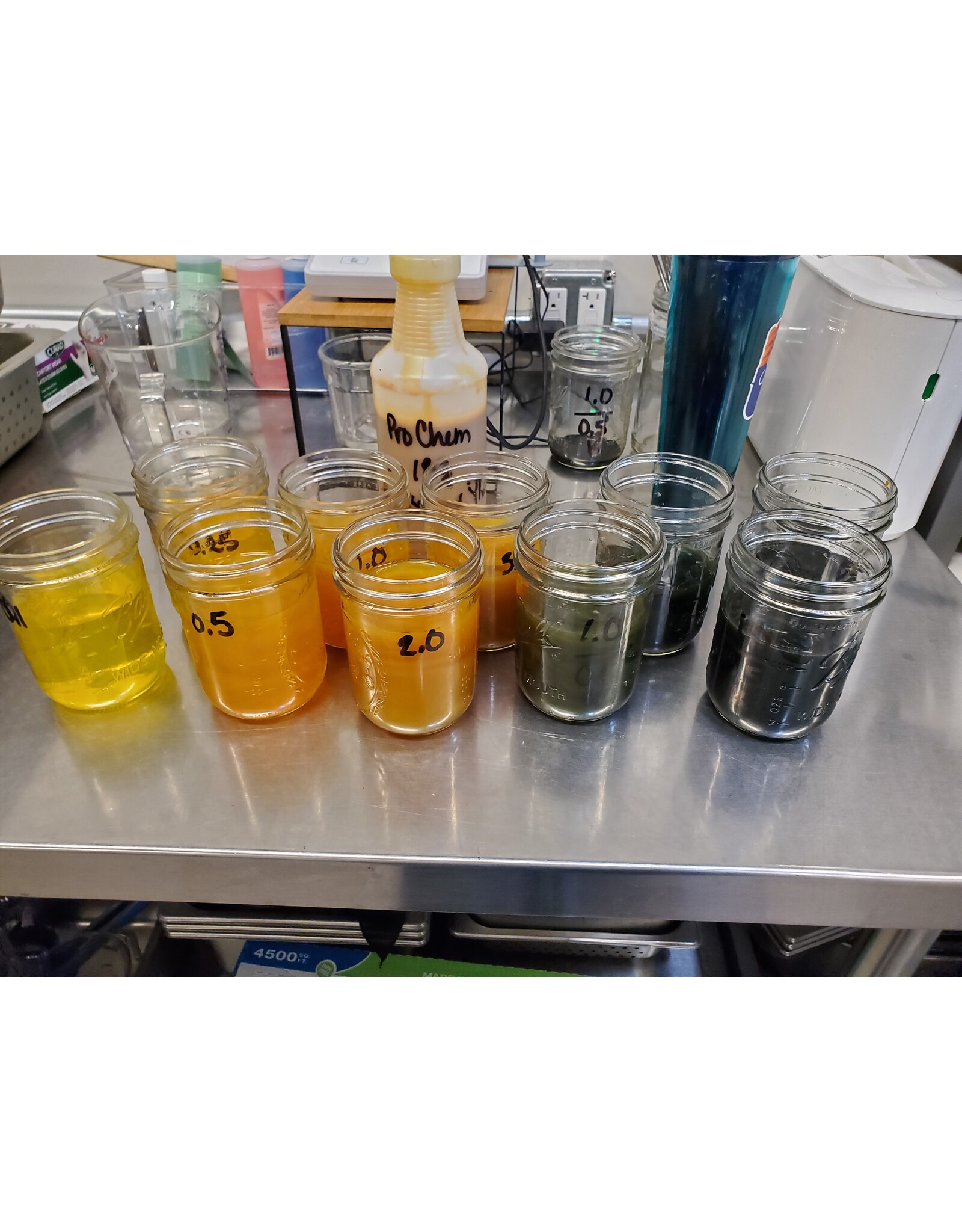 Stranded by the Sea Workshop: Dyeing Mini Gradient Set