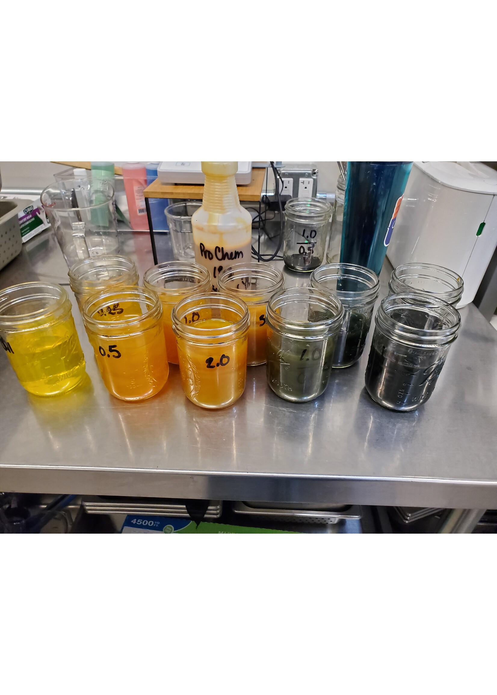 Stranded by the Sea Workshop: Dyeing Mini Gradient Set