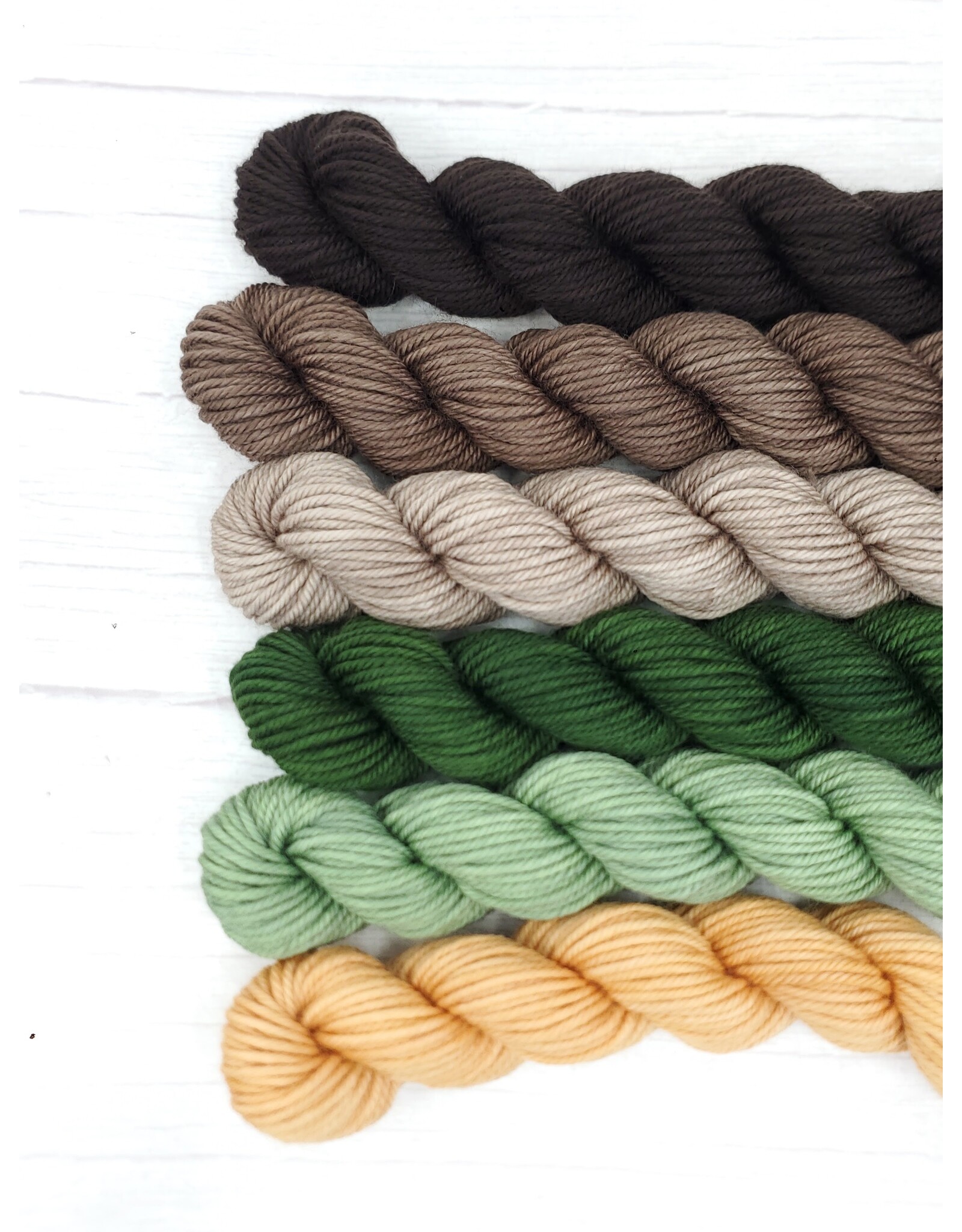 Stranded by the Sea Workshop: Dyeing Mini Gradient Set