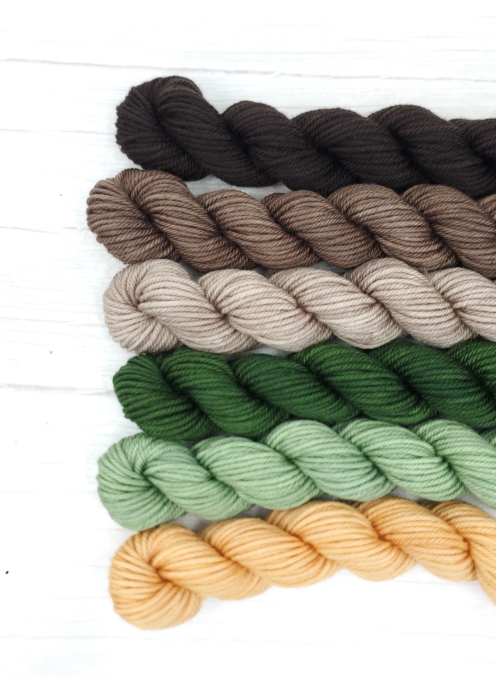 Stranded by the Sea Workshop: Dyeing Mini Gradient Set