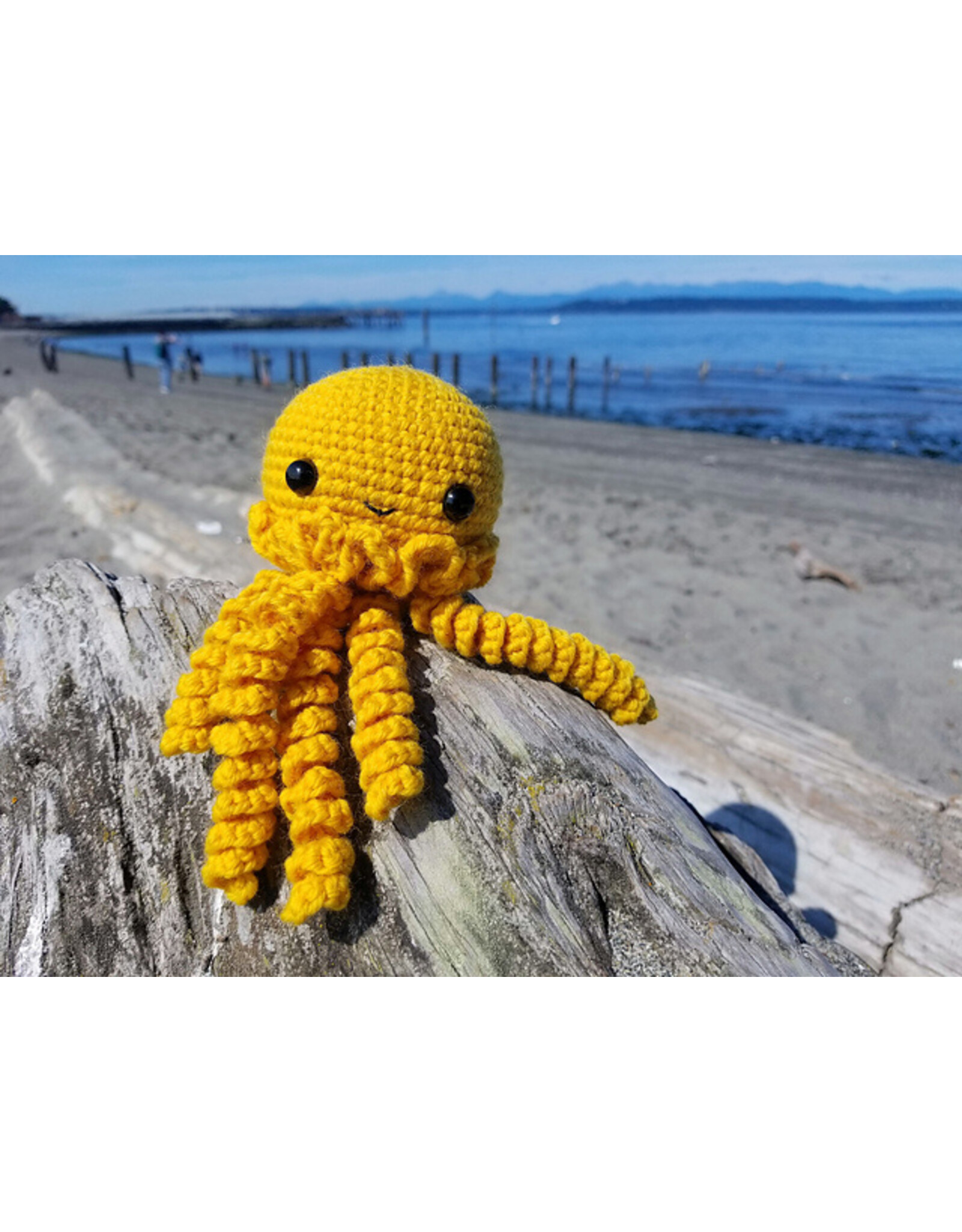 Stranded by the Sea Class: Learn to Crochet Amigurumi Critters