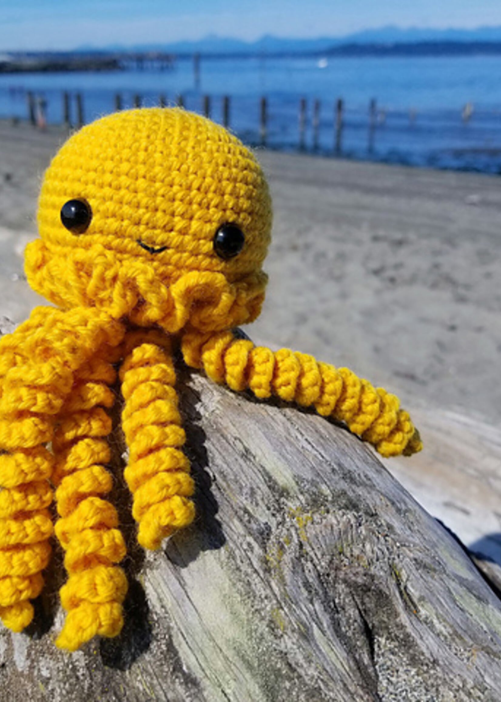 Stranded by the Sea Class: Learn to Crochet Amigurumi Critters