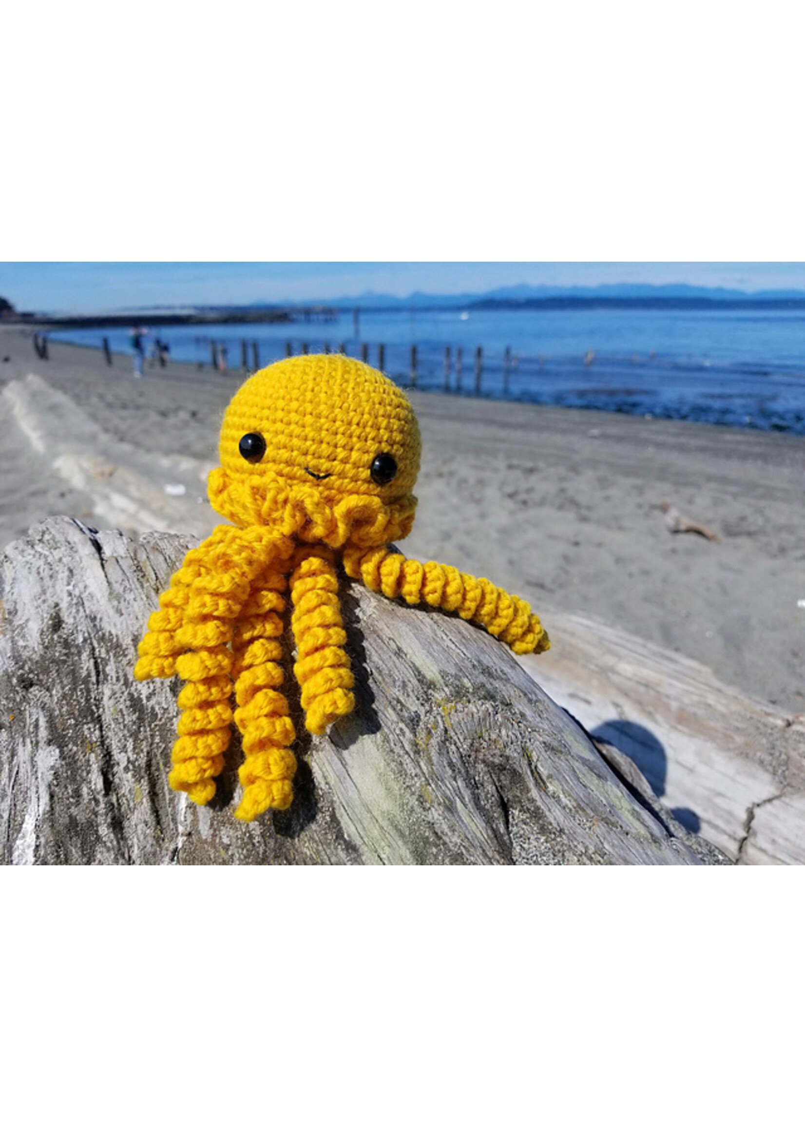 Stranded by the Sea Class: Learn to Crochet Amigurumi Critters