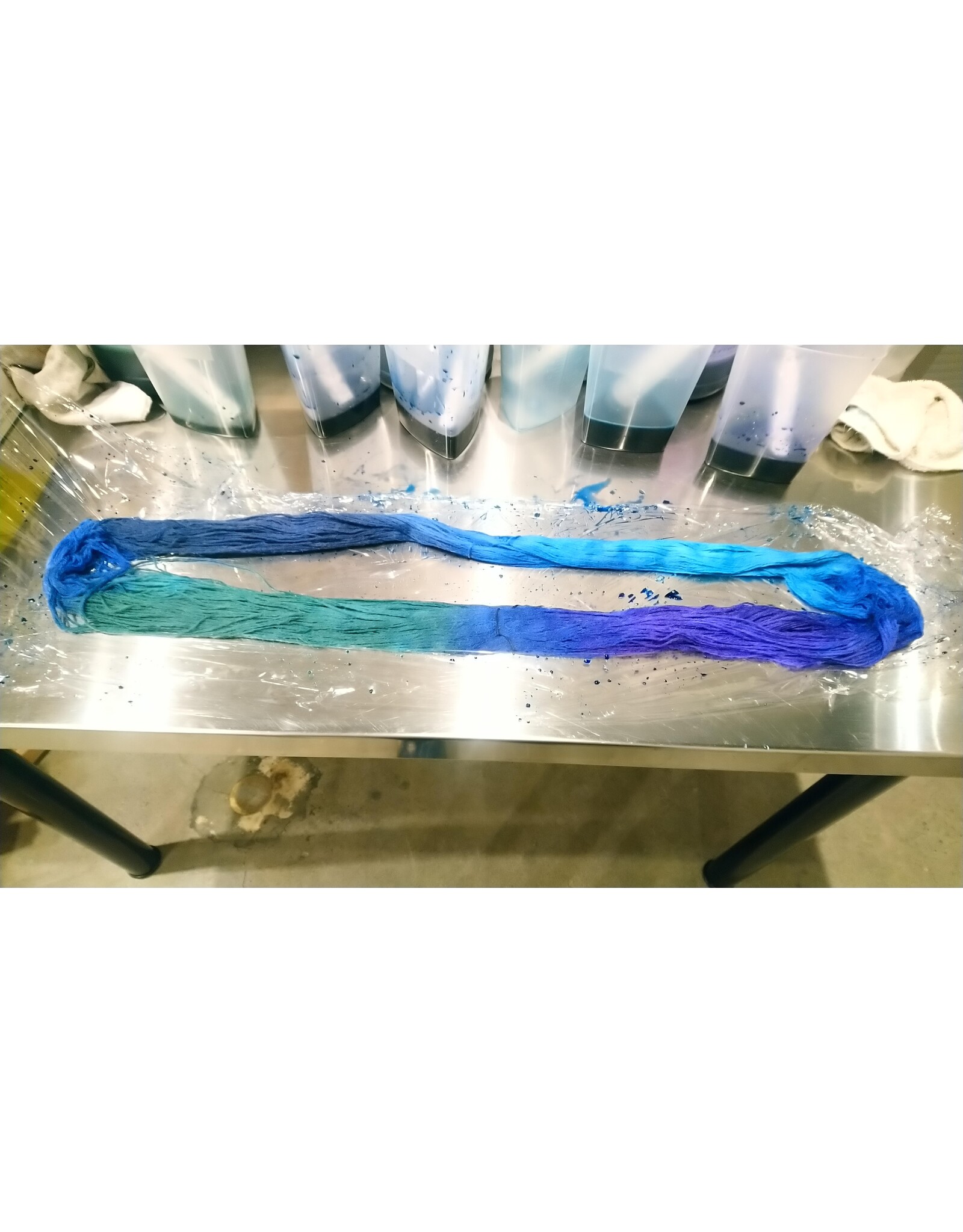 Stranded by the Sea Workshop: Dyeing Hand Painted Yarn
