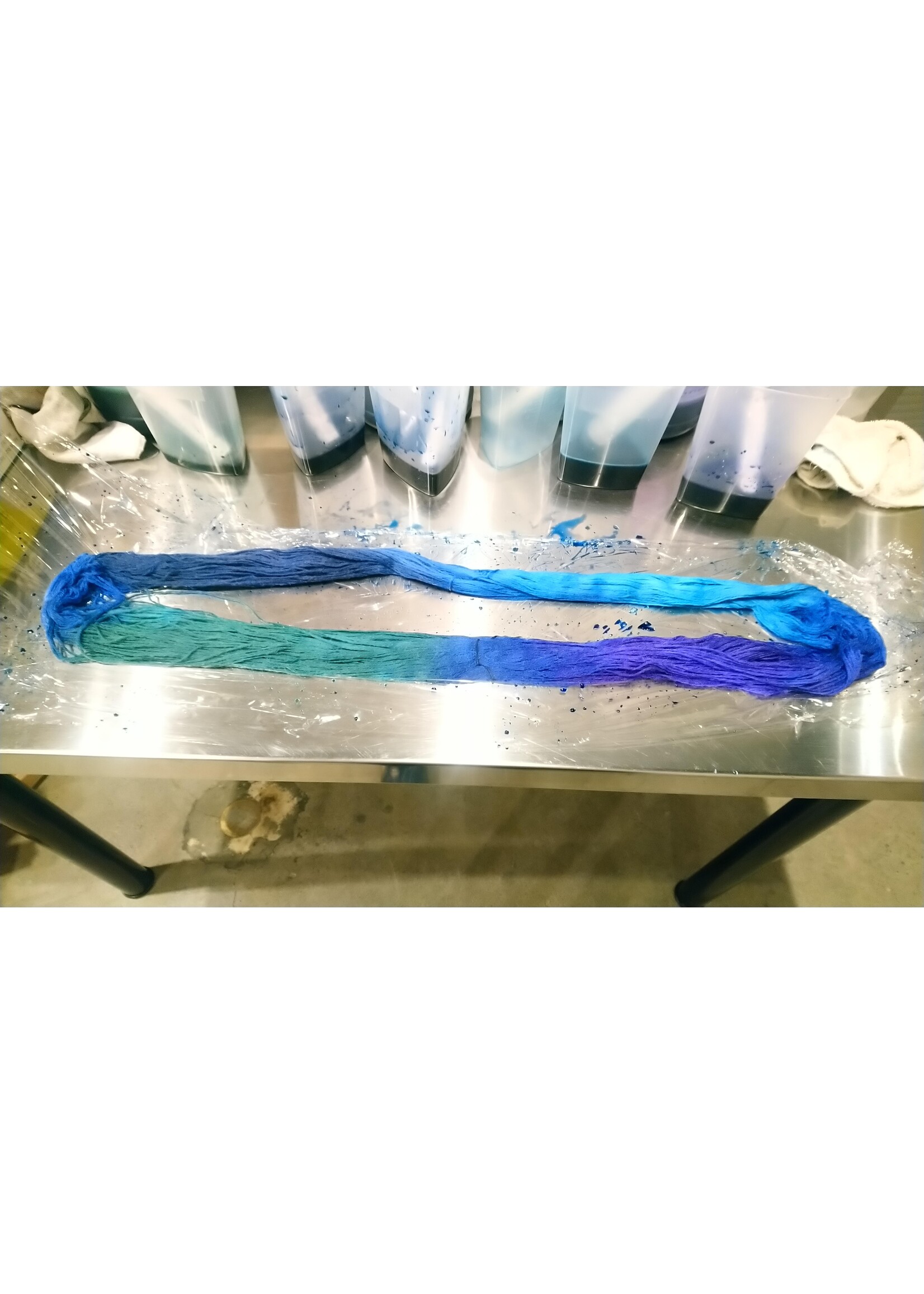 Stranded by the Sea Workshop: Dyeing Hand Painted Yarn