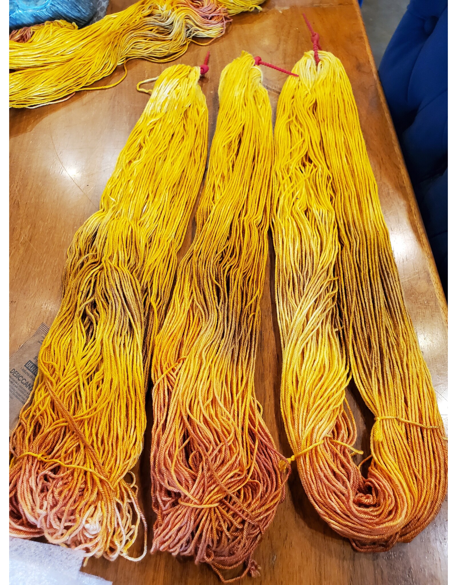 Stranded by the Sea Workshop: Dyeing Hand Painted Yarn
