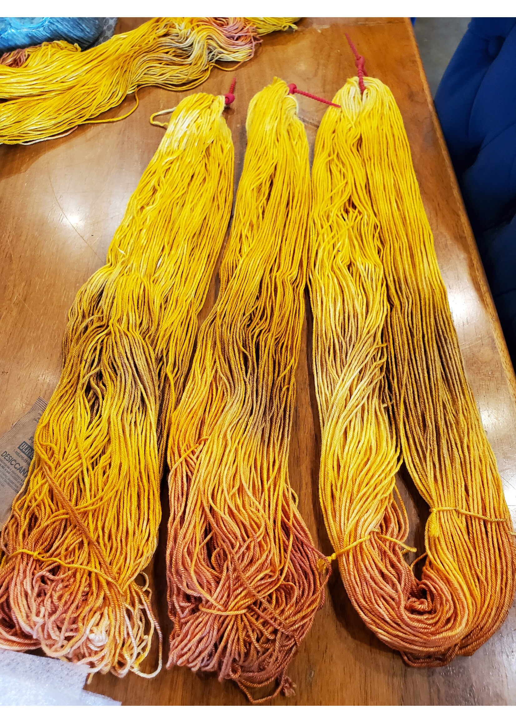 Stranded by the Sea Workshop: Dyeing Hand Painted Yarn