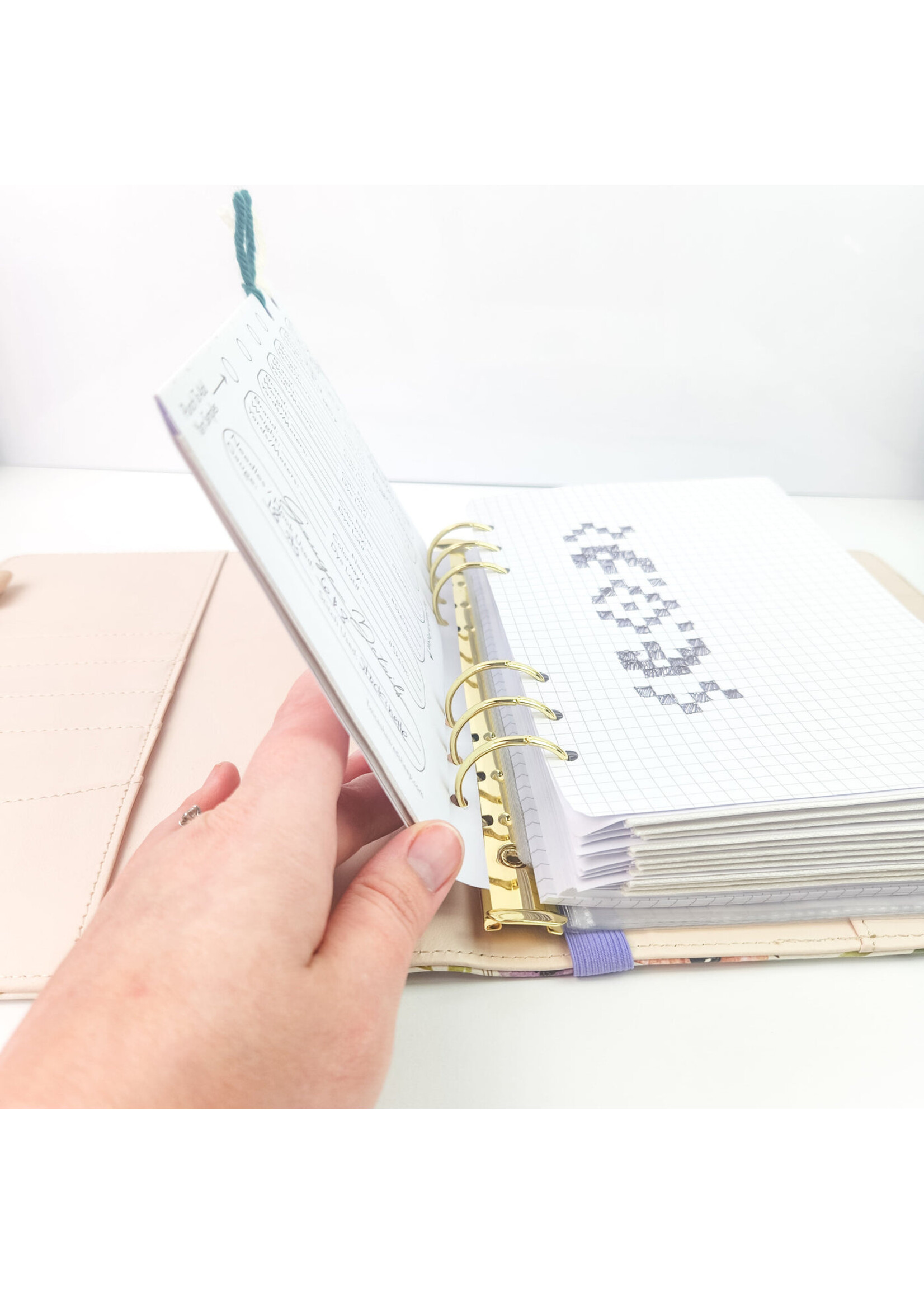 twice sheared sheep tss Project Journal