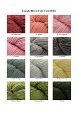Cascade Yarns Cascade BFL
