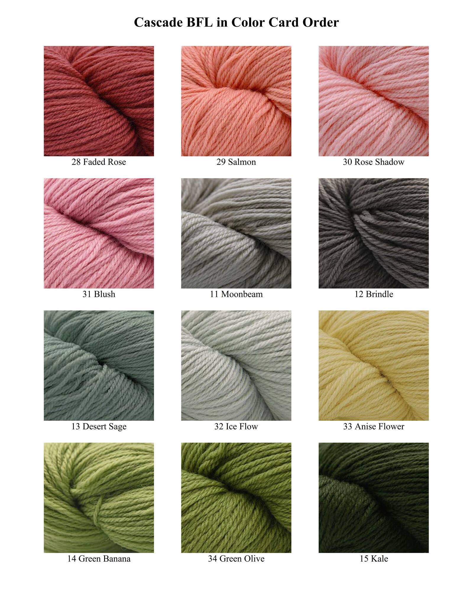 Cascade Yarns Cascade BFL