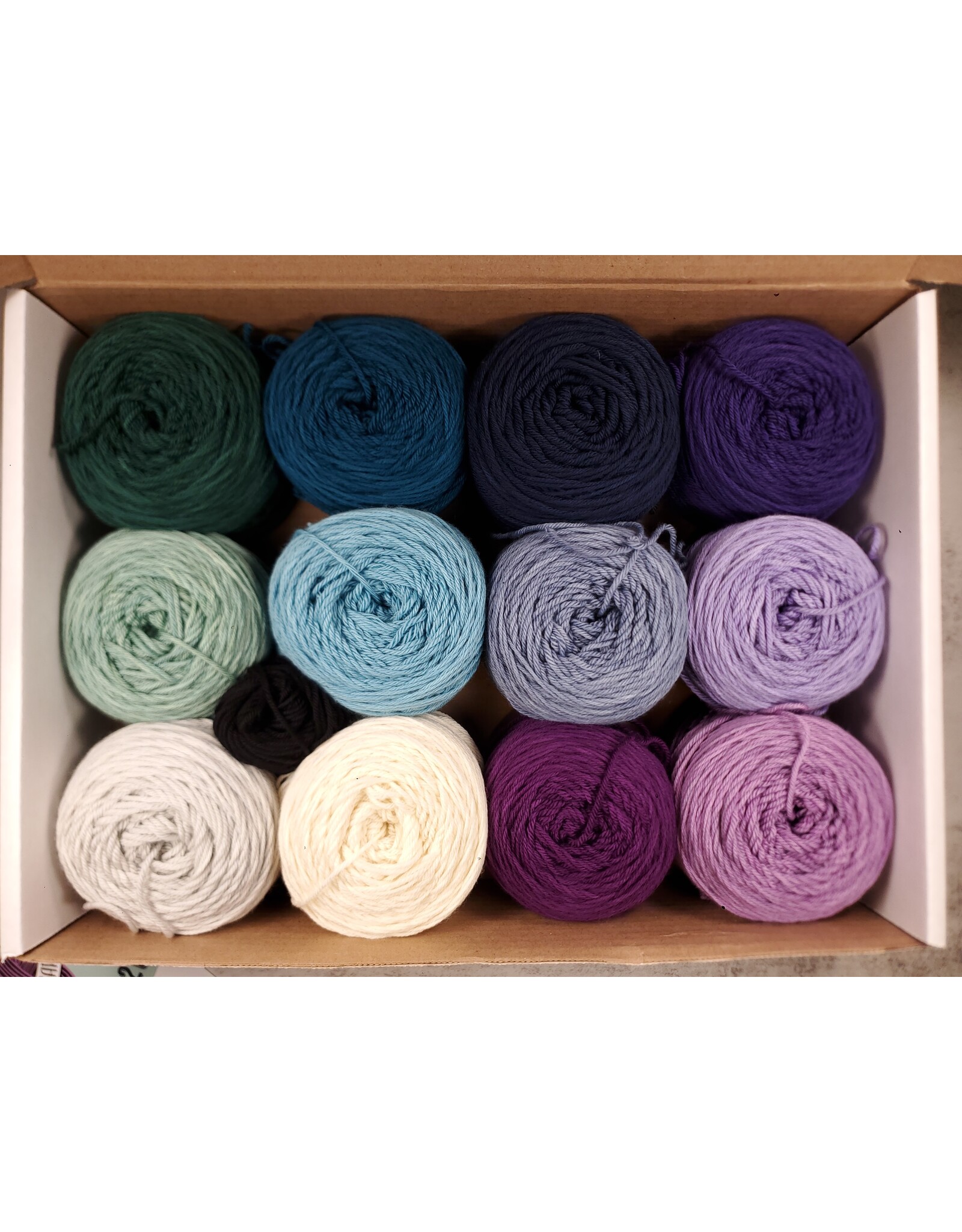 Stranded Studio Narwhal 100g Set 2026 LYS Tour Blanket Kit