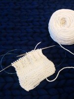 Aleen Caplan Yamasaki Class: Lazy Knitter, Professional Results