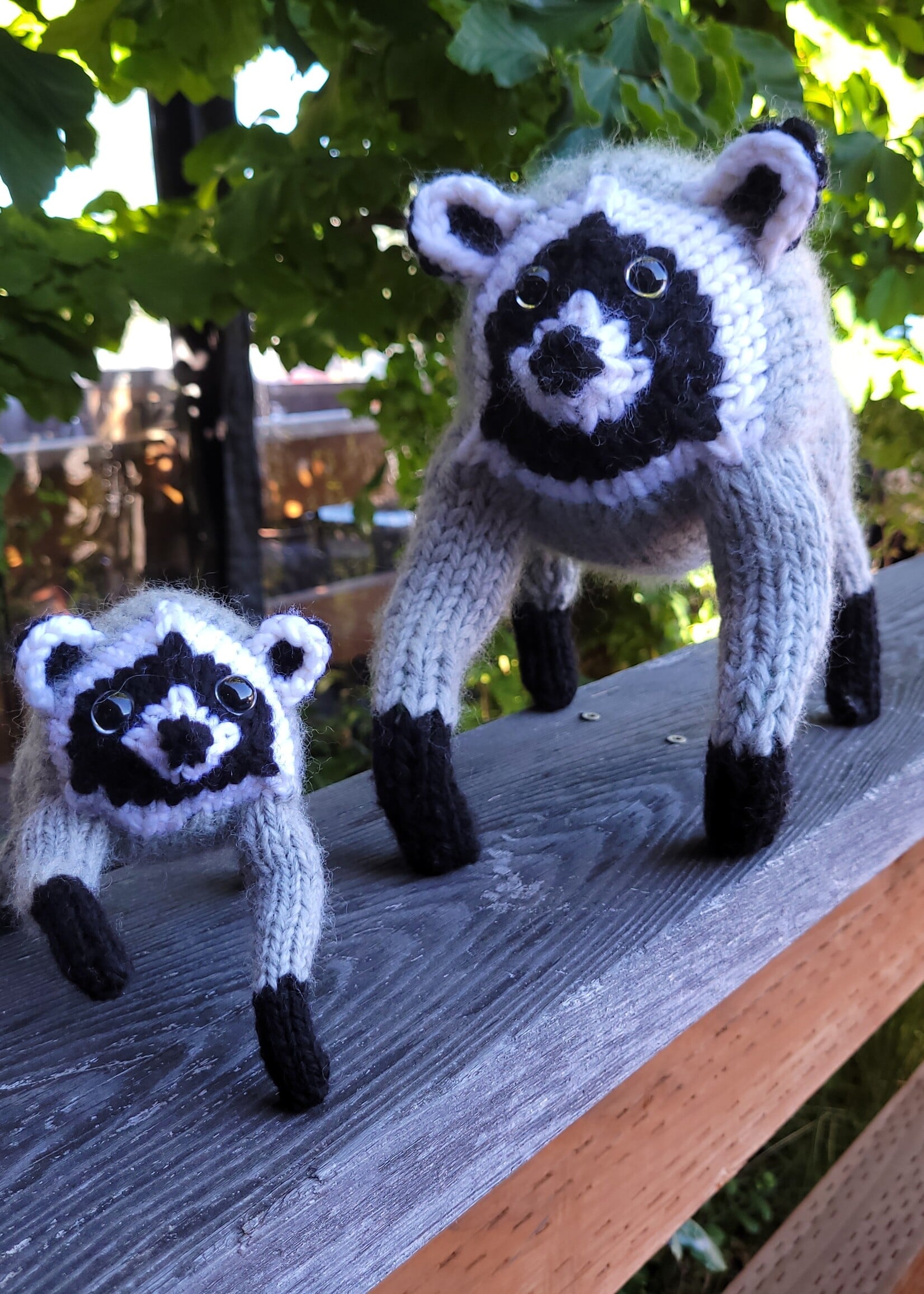 Stranded by the Sea Stranded Pattern Jimothy the Wild Raccoon
