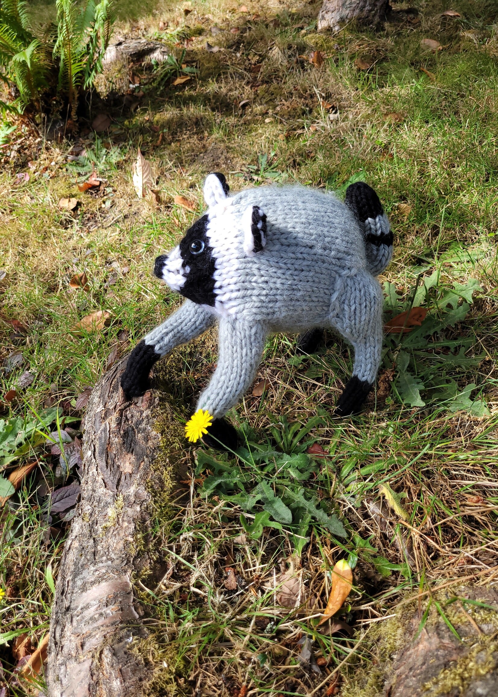 Stranded by the Sea Stranded Pattern Jimothy the Wild Raccoon