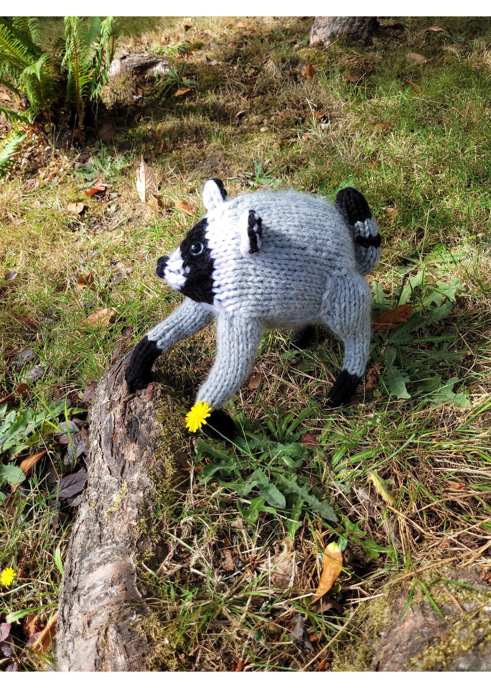 Stranded by the Sea Stranded Knit Pattern Jimothy the Wild Raccoon