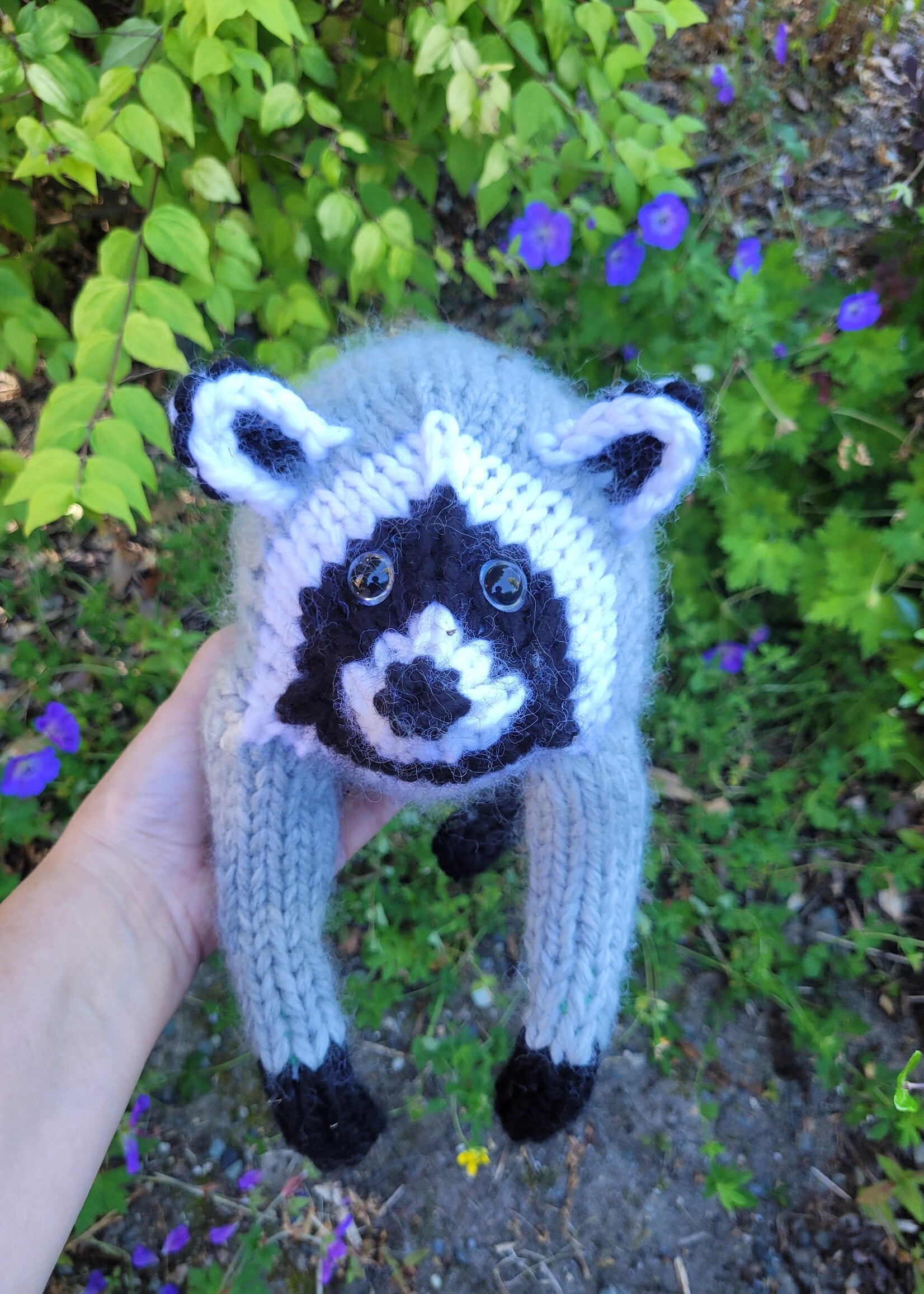 Stranded by the Sea Stranded Pattern Jimothy the Wild Raccoon