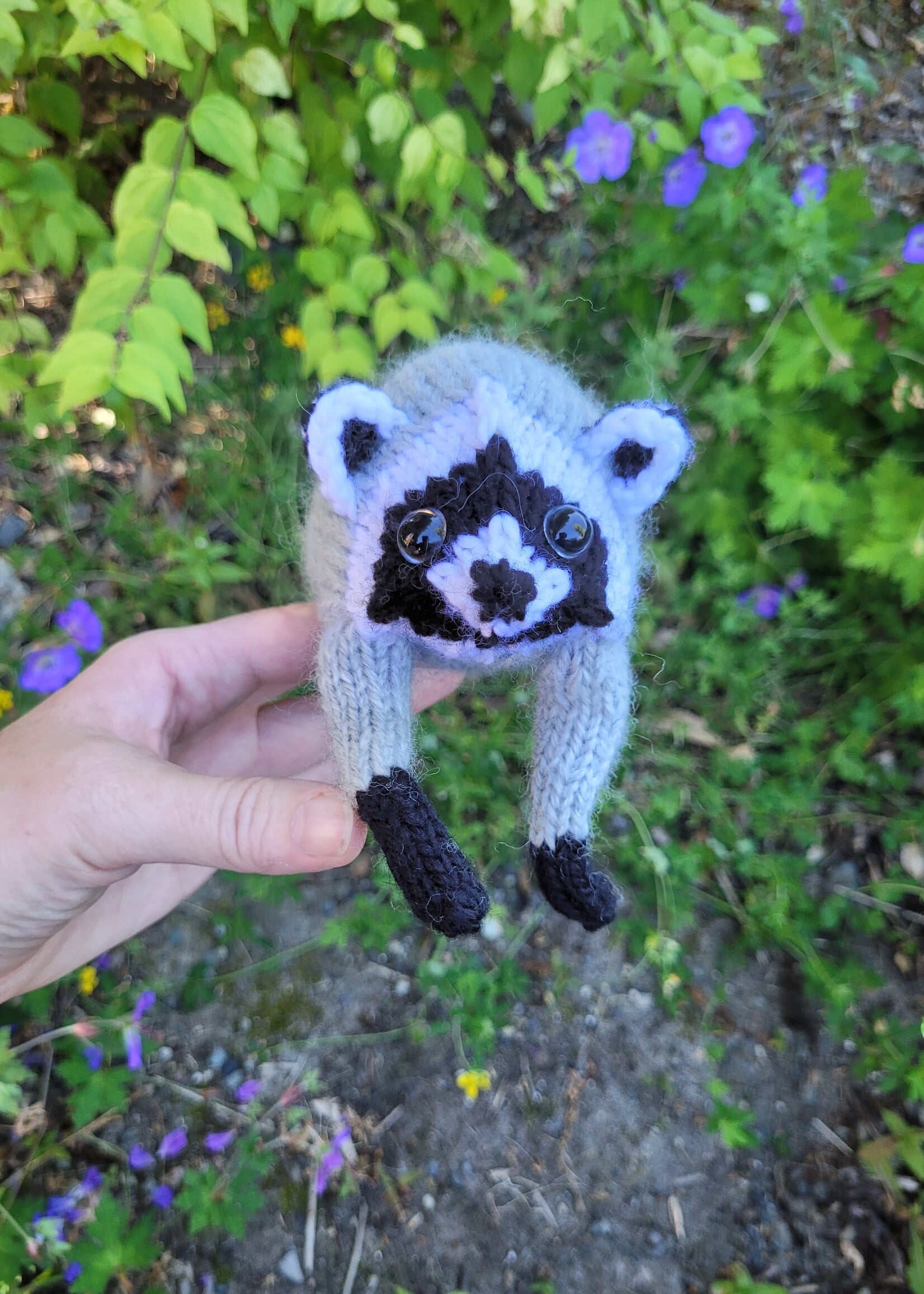 Stranded by the Sea Stranded Pattern Jimothy the Wild Raccoon