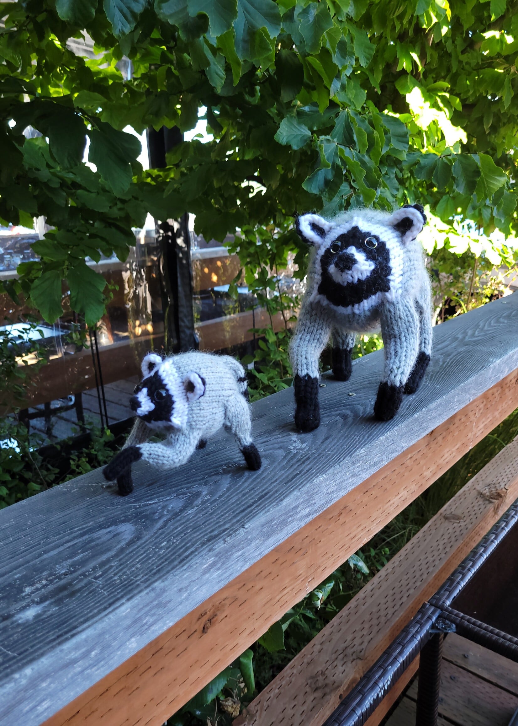Stranded by the Sea Stranded Pattern Jimothy the Wild Raccoon
