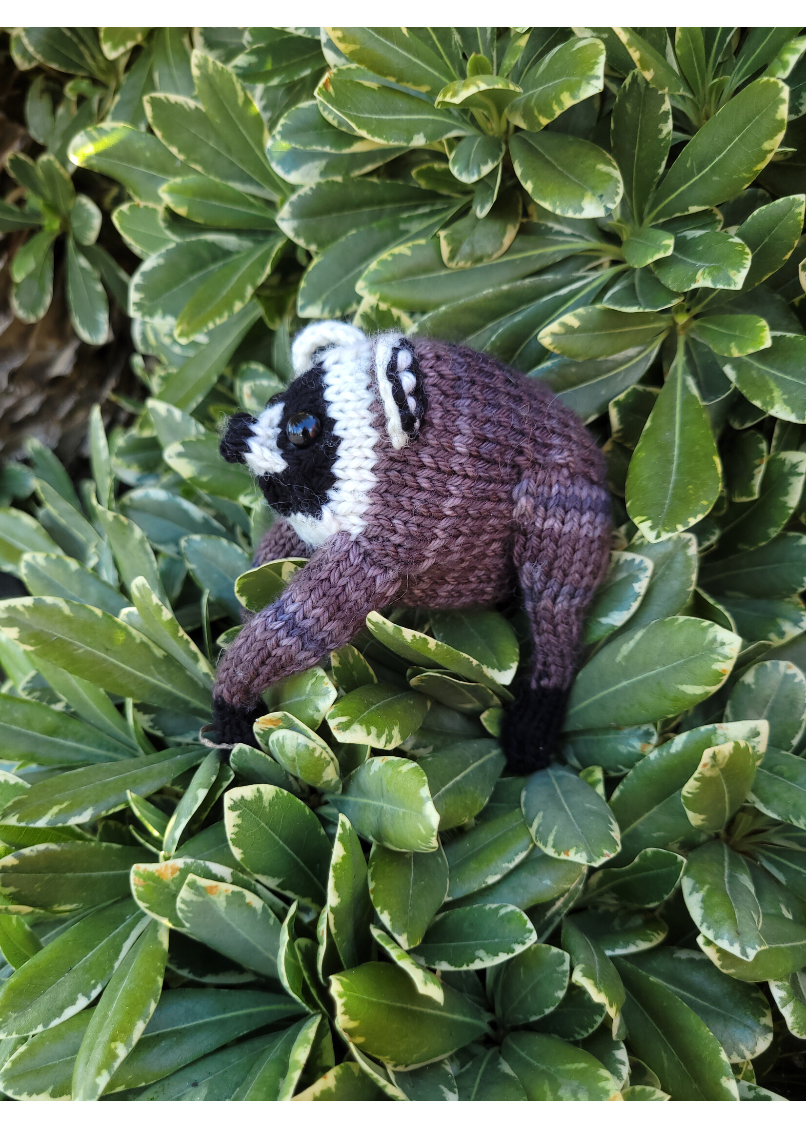Stranded by the Sea Jimothy Knitting Kit MINI - Rory
