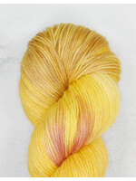 Stranded Studio Pisaster 115g Honeycomb