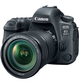 Canon EOS 6D Mark II with EF 24-105mm F3.5-5.6 IS STM