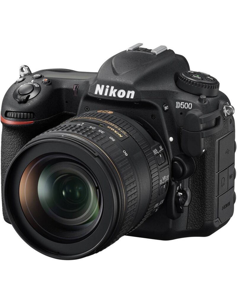 Nikon D500 with 16-80mm Kit