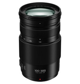 Panasonic MFT 100-300mm F4-5.6 OIS II