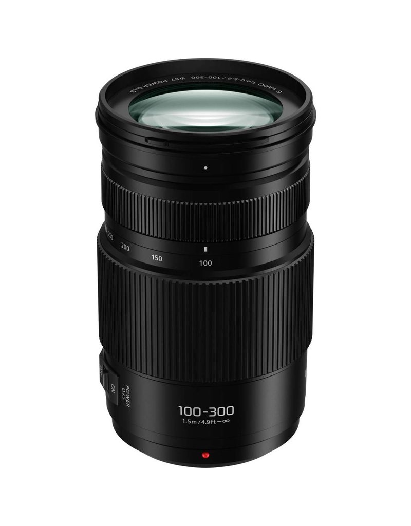 Panasonic MFT 100-300mm F4-5.6 OIS II