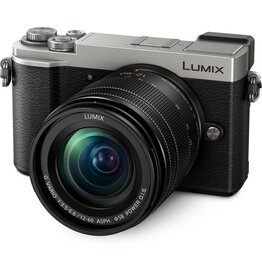 Panasonic GX9 Body [Silver]
