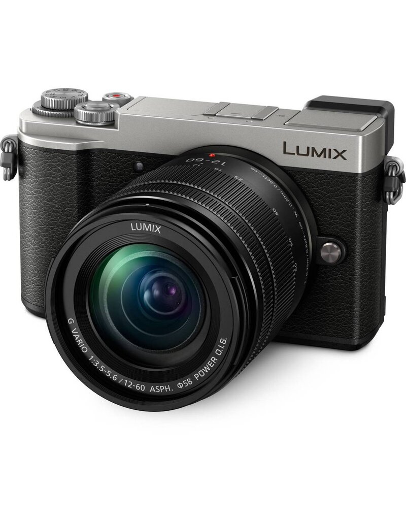 Panasonic GX9 Body [Silver]