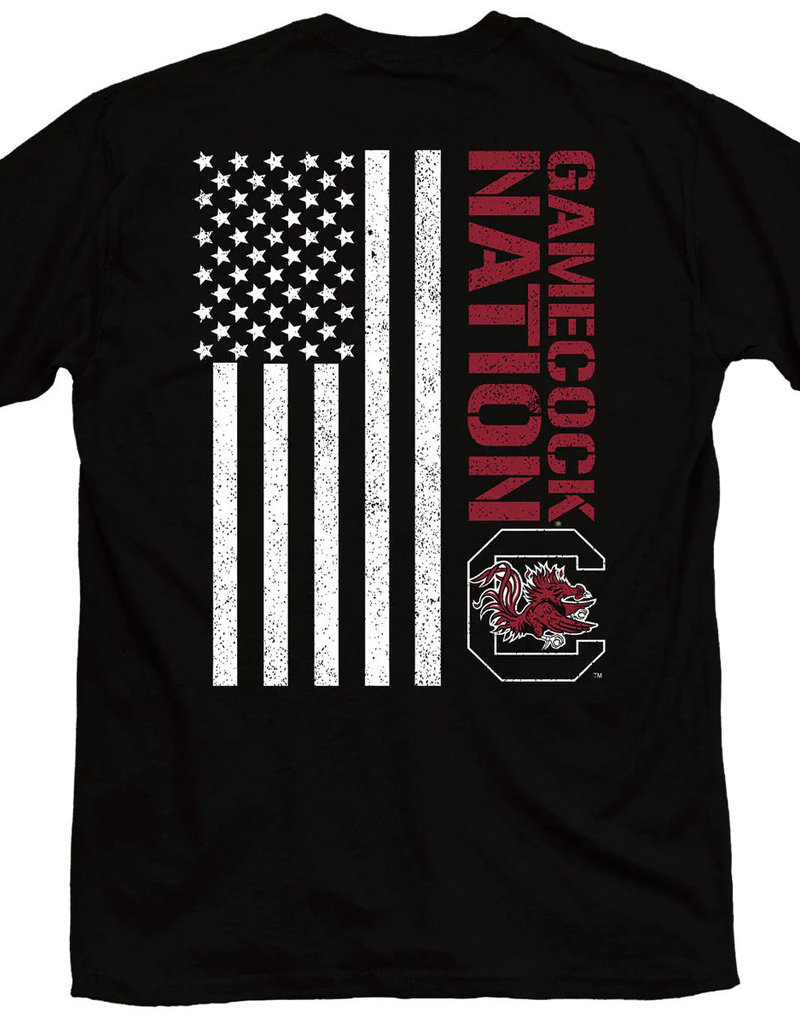 usc Gamecock Nation Shirt